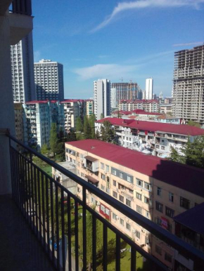 Apartment Inasaridze 18
